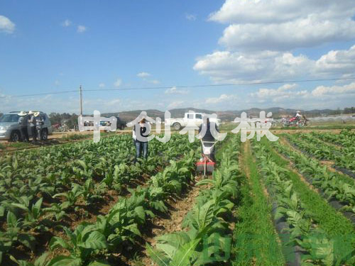 黃煙中耕機(jī)